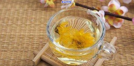 孕妇能喝菊普茶吗？菊花茶对胎儿是否有致畸作用？