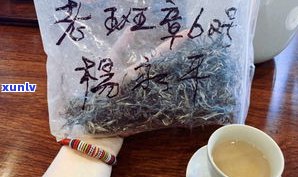 普洱茶虫：蛀虫影响及饮用安全解析