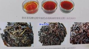 普洱茶区分图片-普洱茶区分图片大全