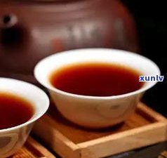 普洱市云宝普洱茶-云宝轩 普洱茶