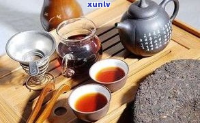 普洱茶道视频教程：从入门到精通，掌握普洱茶茶道步骤全攻略