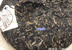 普洱山班章普洱茶-普洱 班章