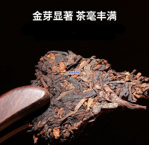 古树普洱生普洱茶-古树普洱普洱茶(熟茶)净含量357克中国.云南金老班章