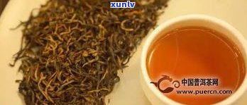 墨西哥正宗普洱茶品牌大全：排行榜及推荐