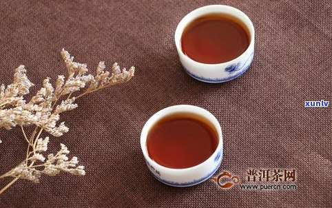 墨西哥正宗普洱茶-墨西哥正宗普洱茶品牌