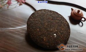 全面解析：普洱新熟茶与老熟茶的区别