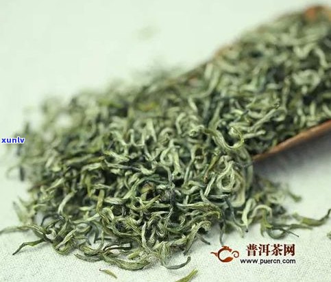 碧螺春普洱茶比较-普洱茶碧螺春哪个好