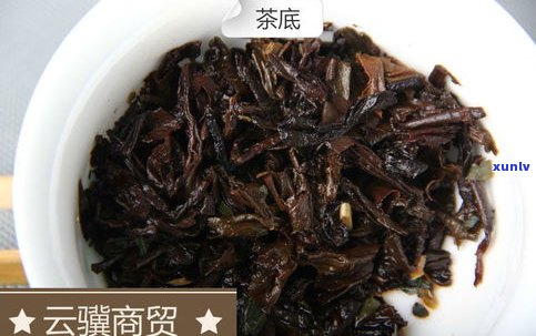 糯香普洱与普洱茶-糯香普洱与普洱茶的区别