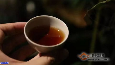 普洱茶普洱来源于-普洱茶来源于哪里