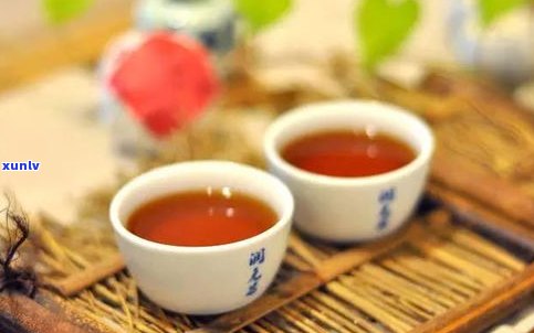 普洱元昌号普洱茶-云南元昌茶叶