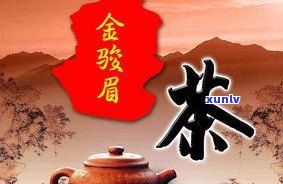 给我找一下普洱茶及其相关英文信息和电视节目