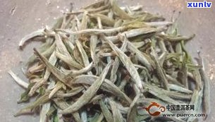 普洱茶是否有白茶？原因与区别是什么？