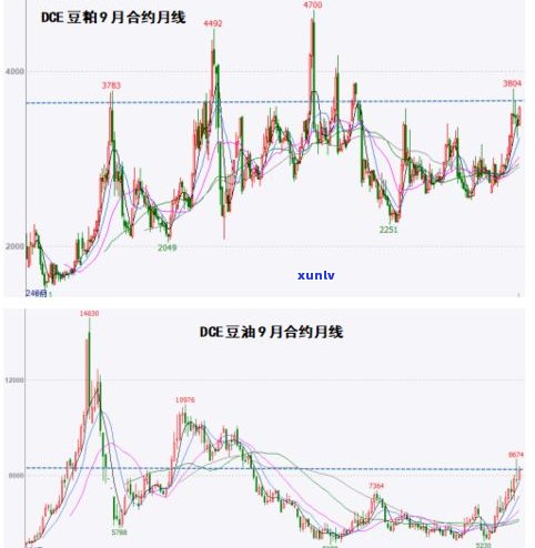 最新7562普洱茶价格及市场行情分析