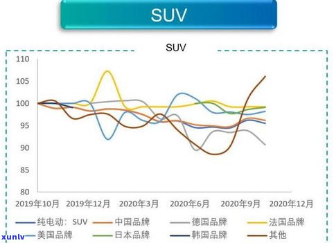 最新7562普洱茶价格及市场行情分析