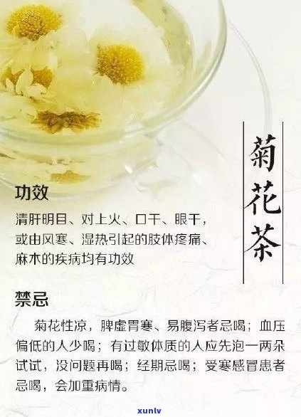 全面解析：小甘菊普洱茶的好处、功效与注意事项