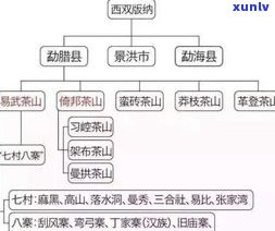 普洱茶退仓流程图-普洱茶退仓流程图片