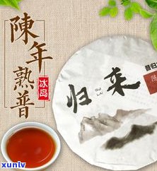 福建泉州普洱茶：现状与特色，包括普大师茶饼及特产