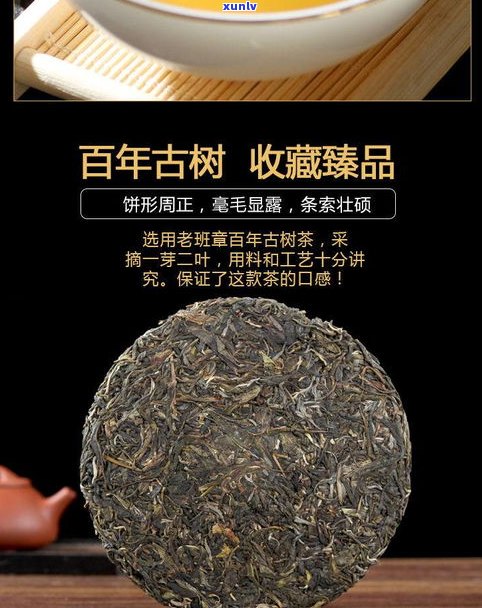 福建泉州普洱茶：现状与特色，包括普大师茶饼及特产