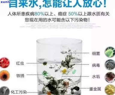 普洱茶中有机物含量解析：高还是低？内含物揭秘