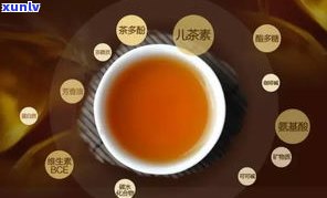 普洱茶中的有机物-普洱茶中的有机物有哪些