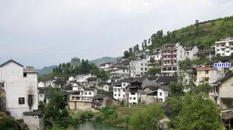 河北大名县普洱茶-河北大名县普洱茶产地