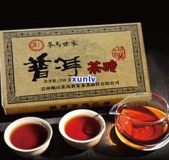 逸神普洱茶枣香砖-逸神韵味普洱茶砖