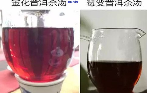 买普洱茶全都是梗茶吗？原因解析与普洱茶区别