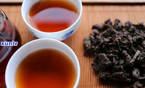 买普洱茶全部是梗-买普洱茶全部是梗茶吗