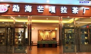 柏联普洱茶专卖店在哪里？官方旗舰店、庄园地址全在这！