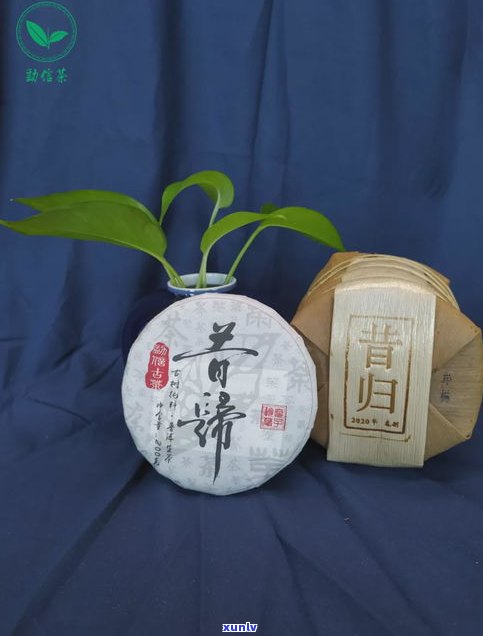 普洱茶砖放十几年了还能喝吗？是否安全？