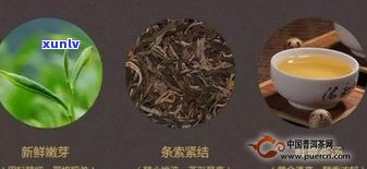 短枝普洱茶：口感怎样？与普通烟有何区别？排名揭晓！