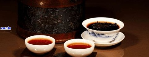 短枝普洱茶好不好-短枝普洱茶好不好喝