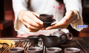 国宝贡普洱茶介绍-国宝贡普洱茶介绍视频