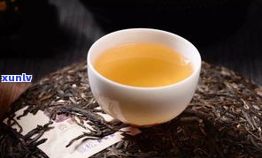 国宝贡普洱茶介绍-国宝贡普洱茶介绍视频