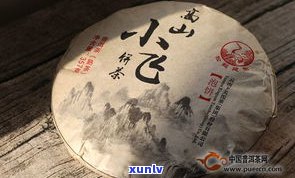 九江哪个牌子的茶饼更好？口感、销量全方位比较！