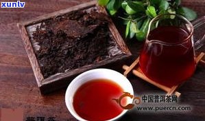 九江可靠的普洱茶-九江可靠的普洱茶店