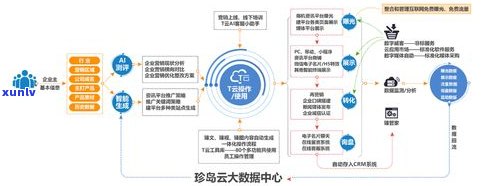 云仓是正品吗？全面解析云仓的商品真伪与安全性