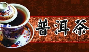 播放一首普洱茶主题歌曲，感受独特的茶香韵味