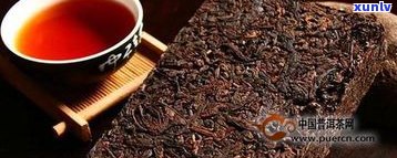 块状普洱茶怎么泡-块状普洱茶的泡法