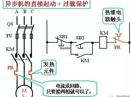 喝普洱茶真的能有效排宿便吗？探讨其科学原理与适用人群