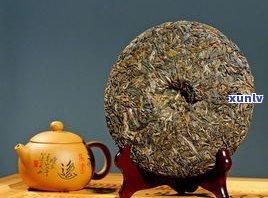 带樟香的好普洱茶：古树茶独特，香气扑鼻