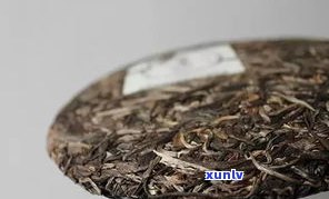 带樟香的好普洱茶-带樟香的好普洱茶有哪些