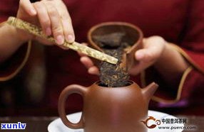 紫砂泡普洱茶：熟茶冲泡 *** 与心得，如何选择紫砂壶？