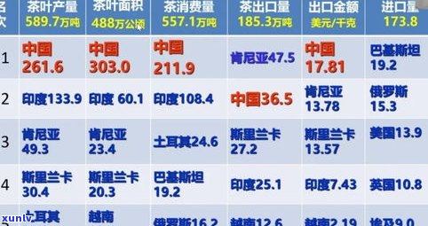 一叶神茶叶：价格、产量与销售渠道全解析