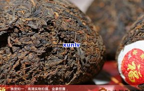 福益陈普洱茶官网-福益陈茶厂茶叶