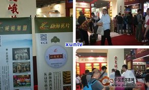 行吉茶业旗舰店：全面解析行吉茶叶品质与口碑