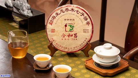 弘顺祥普洱茶官网-弘顺祥普洱茶官网旗舰店