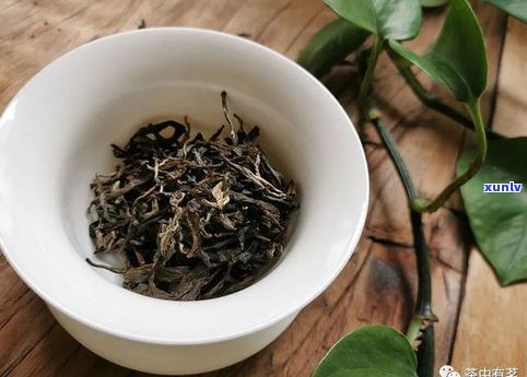 一人喝几克普洱茶好？怎样冲泡？