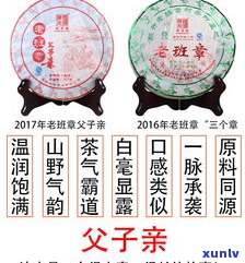 班章普洱茶357克价格：历年行情全览