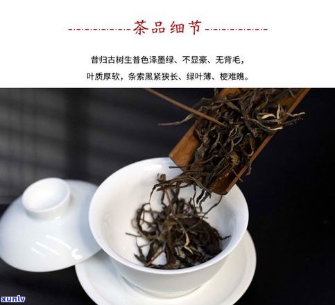 白龙茶叶普洱多少钱一盒？品牌、生茶及价格全揭秘！